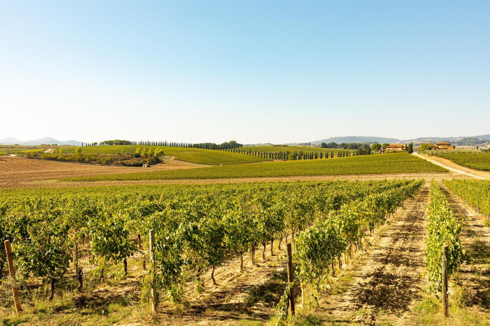 Vermentino Villa Montepulciano Stazione Eksteriør billede