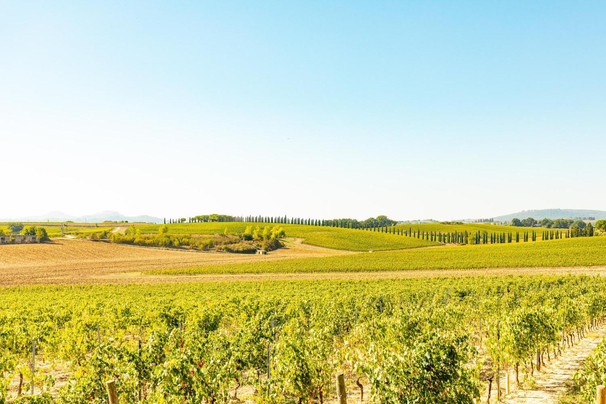 Vermentino Villa Montepulciano Stazione Eksteriør billede