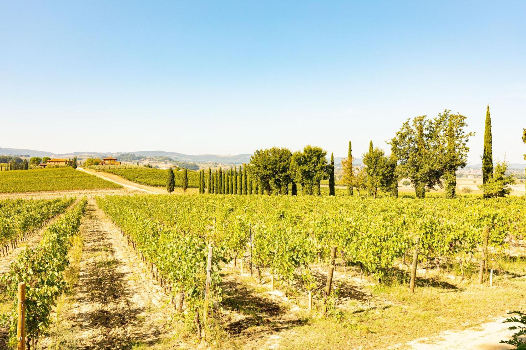 Vermentino Villa Montepulciano Stazione Eksteriør billede